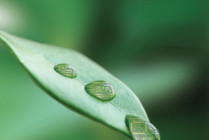 imagem-enviroment