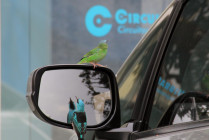 Circuibras Circuitos Impressos